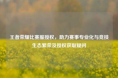 王者荣耀比赛服授权,助力赛事专业化与竞技生态繁荣及授权获取疑问