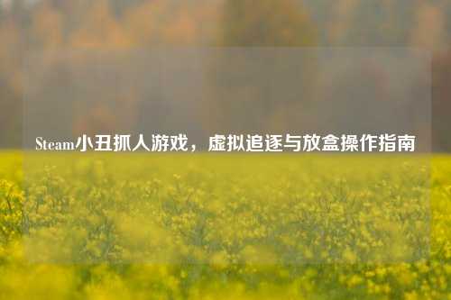 Steam小丑抓人游戏,虚拟追逐与放盒操作指南