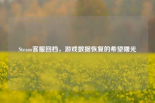 Steam *** 回档,游戏数据恢复的希望曙光