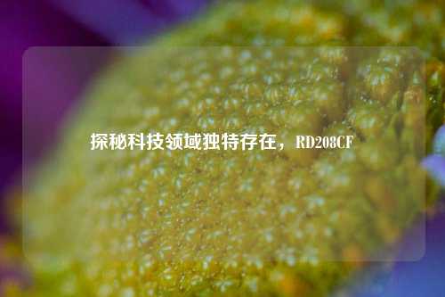 探秘科技领域独特存在,RD208CF