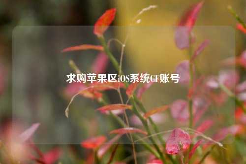 求购苹果区iOS系统CF账号