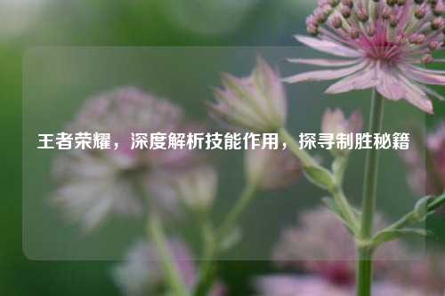 王者荣耀,深度解析技能作用,探寻制胜秘籍