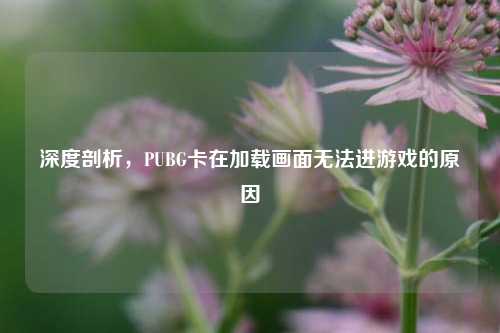 深度剖析,PUBG卡在加载画面无法进游戏的原因