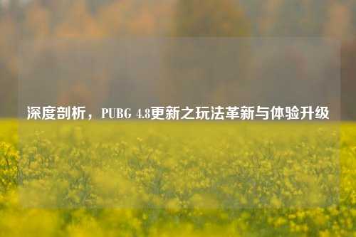 深度剖析,PUBG 4.8更新之玩法革新与体验升级