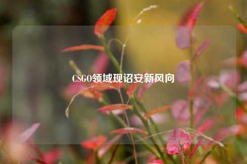 CSGO领域现诏安新风向
