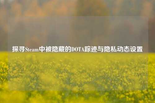 探寻Steam中被隐藏的DOTA踪迹与隐私动态设置