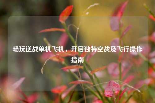 畅玩逆战单机飞机,开启独特空战及飞行操作指南