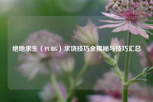 绝地求生(PUBG)求饶技巧全揭秘与技巧汇总