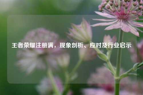 王者荣耀注册满,现象剖析、应对及行业启示
