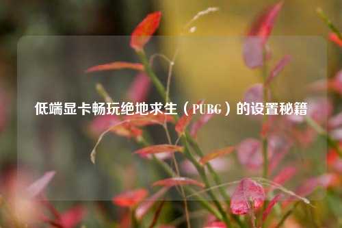 低端显卡畅玩绝地求生(PUBG)的设置秘籍