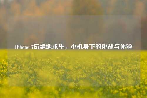 iPhone 7玩绝地求生,小机身下的挑战与体验