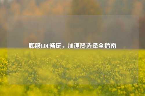 韩服LOL畅玩,加速器选择全指南