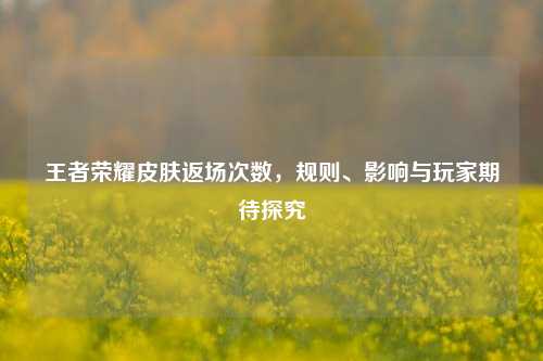 王者荣耀皮肤返场次数,规则、影响与玩家期待探究