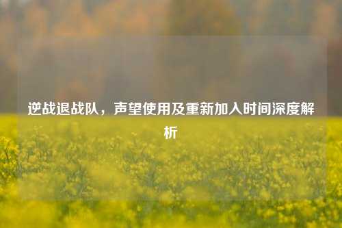 逆战退战队,声望使用及重新加入时间深度解析