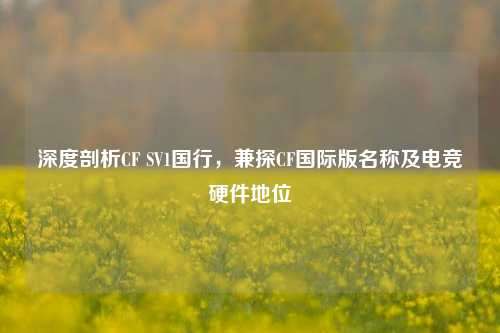 深度剖析CF SV1国行,兼探CF国际版名称及电竞硬件地位