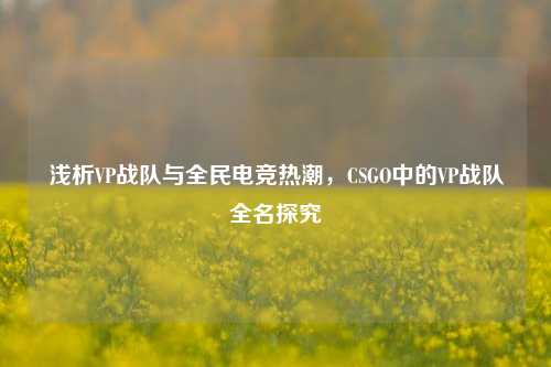 浅析VP战队与全民电竞热潮,CSGO中的VP战队全名探究