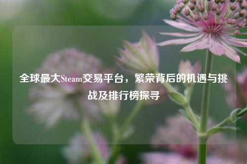 全球更大Steam交易平台,繁荣背后的机遇与挑战及排行榜探寻