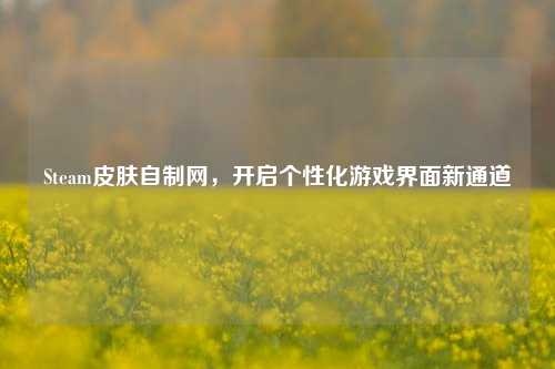 Steam皮肤自制网,开启个性化游戏界面新通道