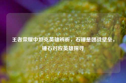 王者荣耀中坦克英雄辨析,石锤是团战壁垒,锤石对应英雄探寻