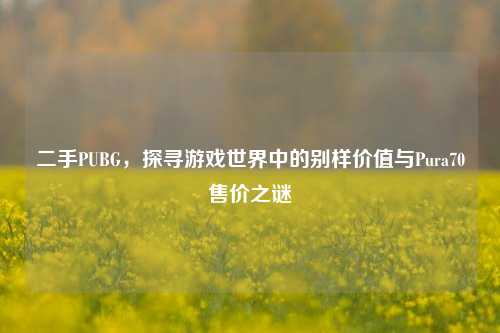 二手PUBG,探寻游戏世界中的别样价值与Pura70售价之谜