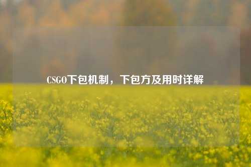 CSGO下包机制,下包方及用时详解