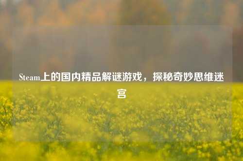 Steam上的国内精品解谜游戏,探秘奇妙思维迷宫