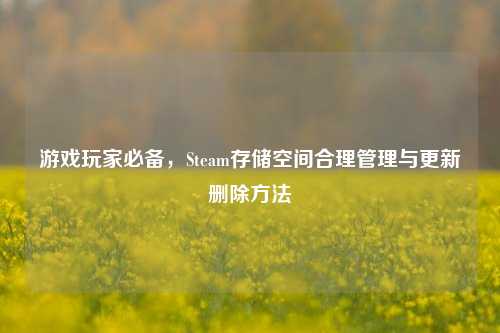 游戏玩家必备,Steam存储空间合理管理与更新删除 ***