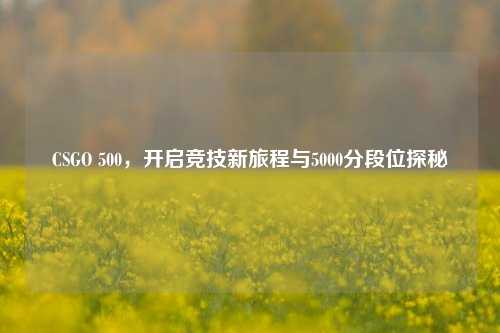 CSGO 500,开启竞技新旅程与5000分段位探秘