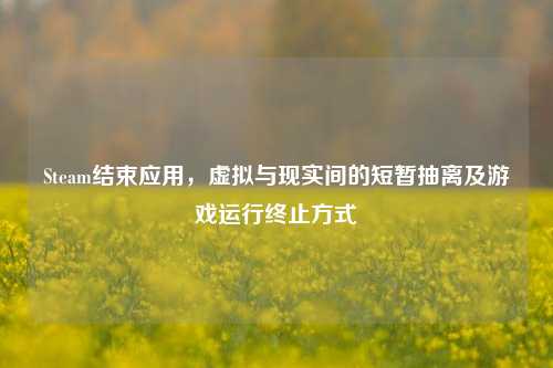 Steam结束应用,虚拟与现实间的短暂抽离及游戏运行终止方式