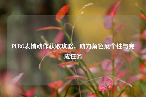 PUBG表情动作获取攻略,助力角色展个性与完成任务