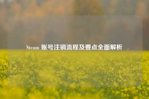 Steam 账号注销流程及要点全面解析