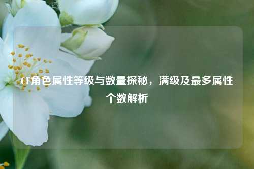CF角色属性等级与数量探秘,满级及最多属性个数解析