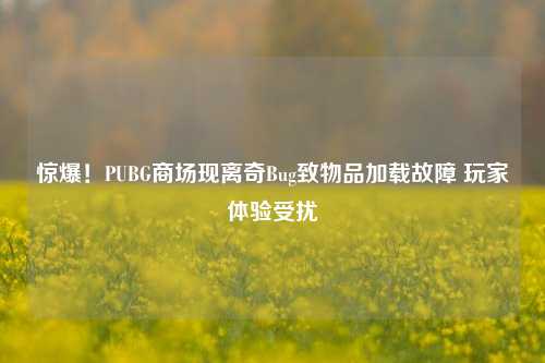 惊爆!PUBG商场现离奇Bug致物品加载故障 玩家体验受扰