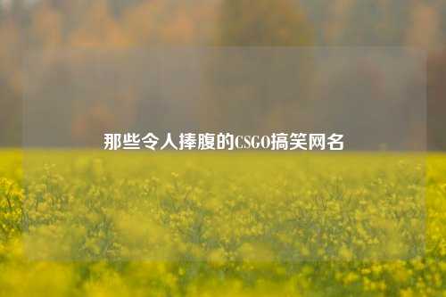 那些令人捧腹的CSGO搞笑网名