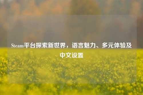 Steam平台探索新世界,语言魅力、多元体验及中文设置