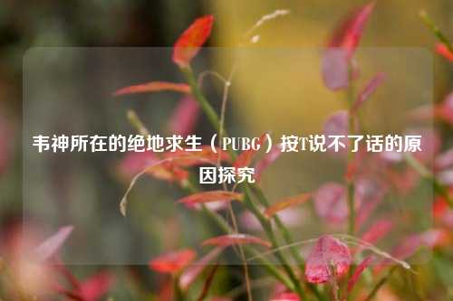 韦神所在的绝地求生(PUBG)按T说不了话的原因探究