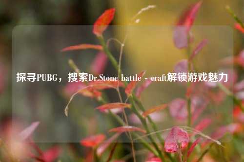 探寻PUBG,搜索Dr.Stone battle - craft解锁游戏魅力