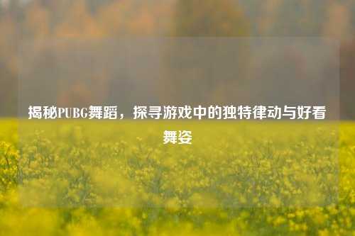 揭秘PUBG舞蹈,探寻游戏中的独特律动与好看舞姿