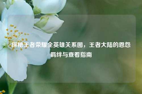 探秘王者荣耀全英雄关系图,王者大陆的恩怨羁绊与查看指南