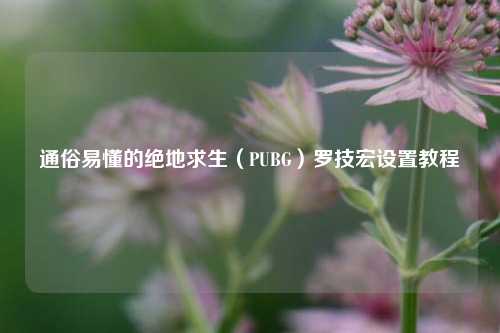 通俗易懂的绝地求生(PUBG)罗技宏设置教程
