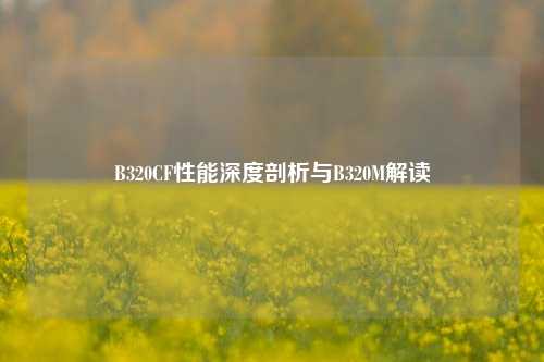 B320CF性能深度剖析与B320M解读