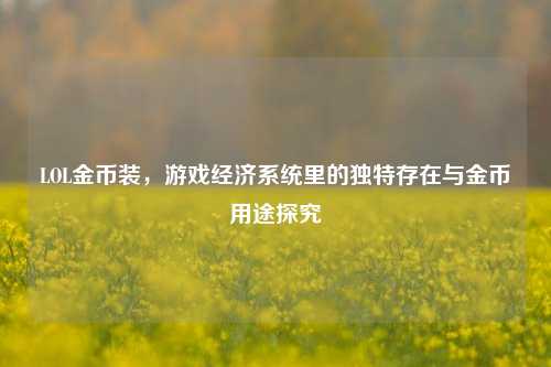 LOL金币装,游戏经济系统里的独特存在与金币用途探究
