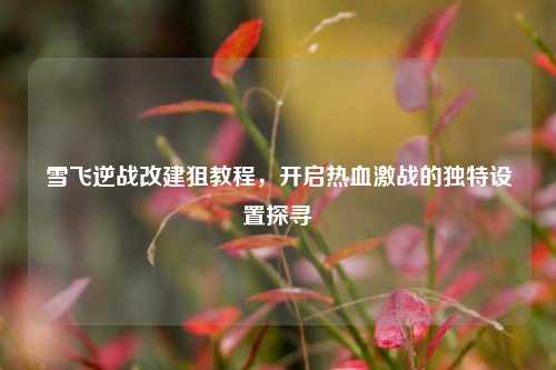 雪飞逆战改建狙教程,开启热血激战的独特设置探寻
