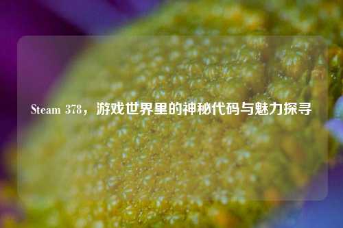 Steam 378,游戏世界里的神秘代码与魅力探寻