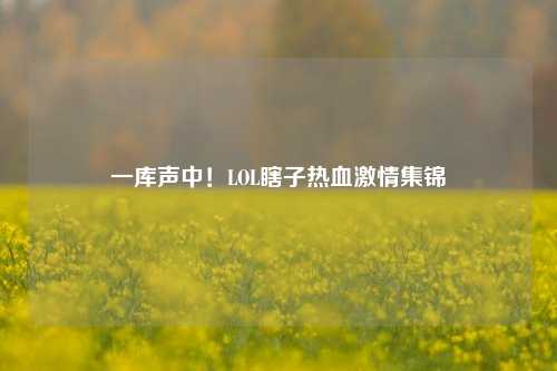 一库声中!LOL瞎子热血***集锦