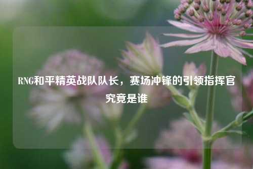 RNG和平精英战队队长,赛场冲锋的引领指挥官究竟是谁
