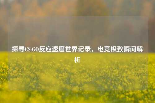 探寻CS:GO反应速度世界记录,电竞极致瞬间解析