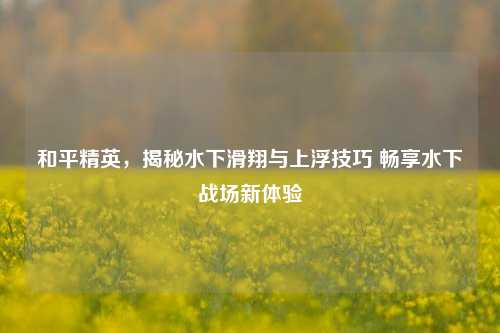 和平精英,揭秘水下滑翔与上浮技巧 畅享水下战场新体验