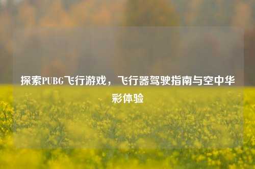 探索PUBG飞行游戏,飞行器驾驶指南与空中华彩体验