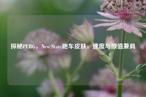 探秘PUBG,New State跑车皮肤,速度与颜值兼具